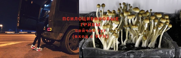 спайс Коряжма