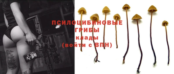 спайс Коряжма