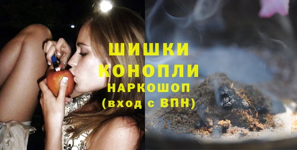 мдпв Костерёво