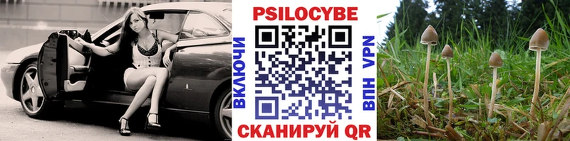 Купить  Кинешма  Псилоцибиновые грибы мухоморы 